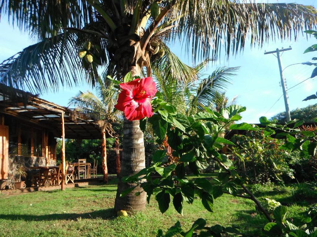 Mamma Nui Glamping Βίλα Χάνγκα Ρόα Εξωτερικό φωτογραφία